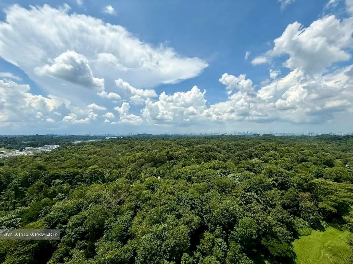 Tree House (D23), Condominium #553870651